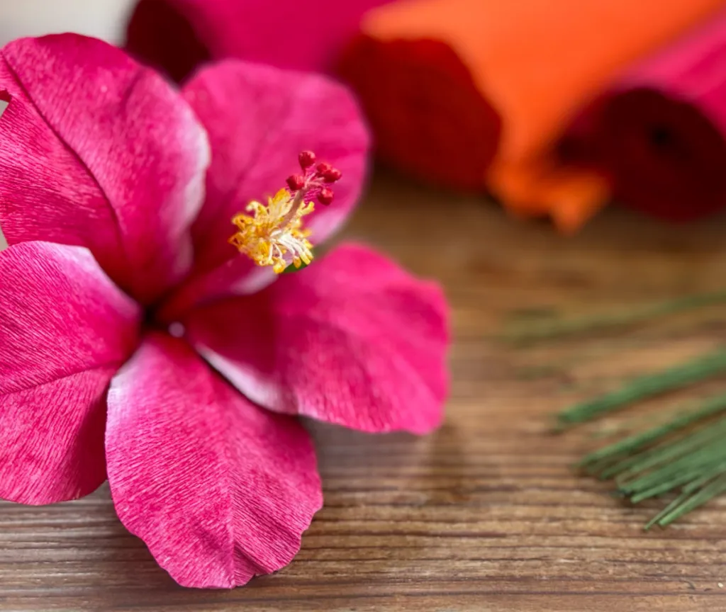 Paper Flower Making With Christina Wilson