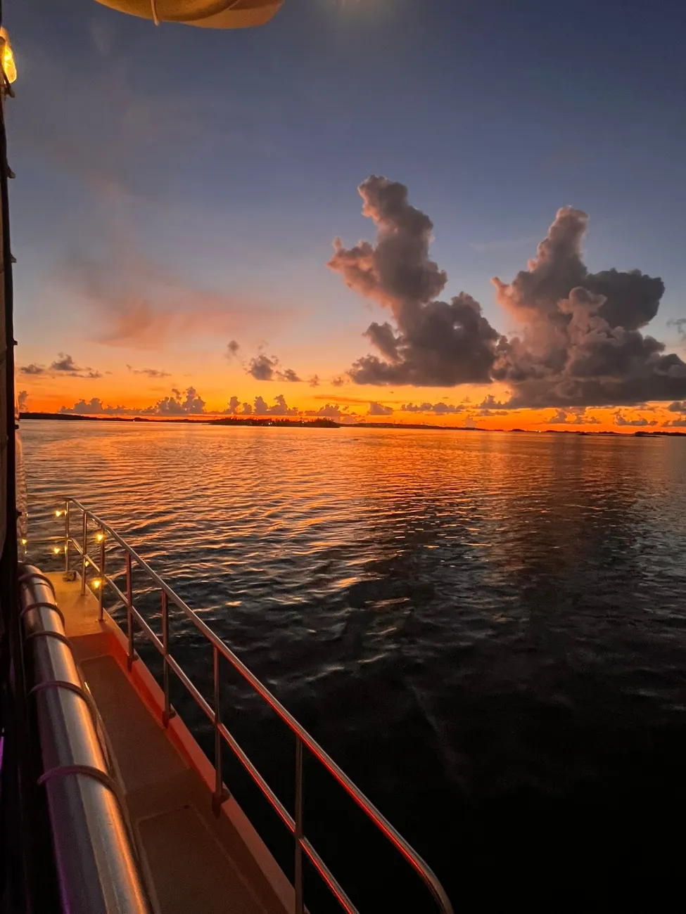 Thanksgiving Afternoon Cruise