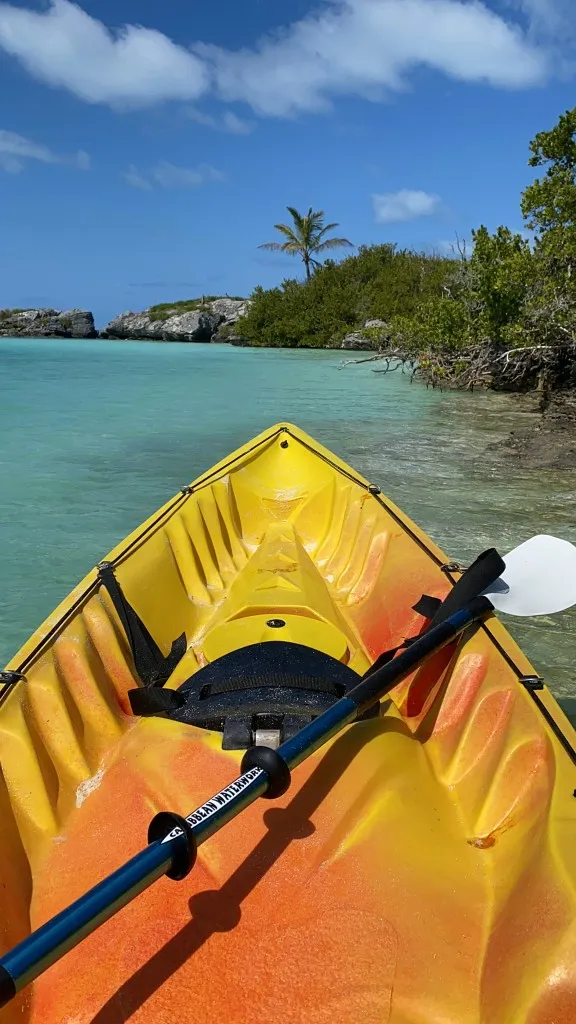 Kayak Eco Adventure Tour