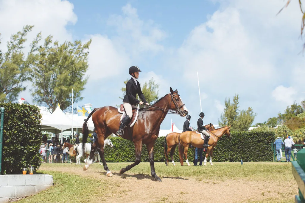 Bermuda Annual Agricultural Exhibition