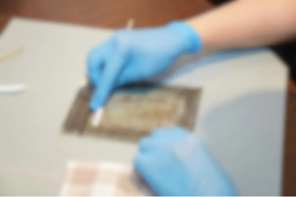 Art Conservation In Bermuda