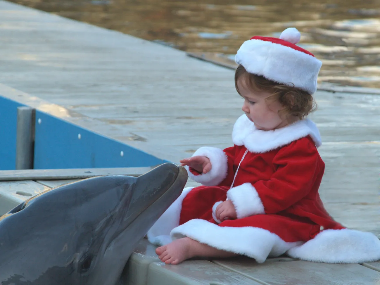 Annual "Carols With Dolphins" Signature Event