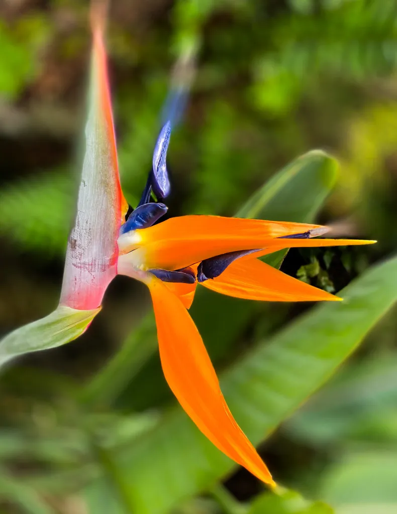 Slow Down & Notice | A Mindful Photography Walk, Share & Sip