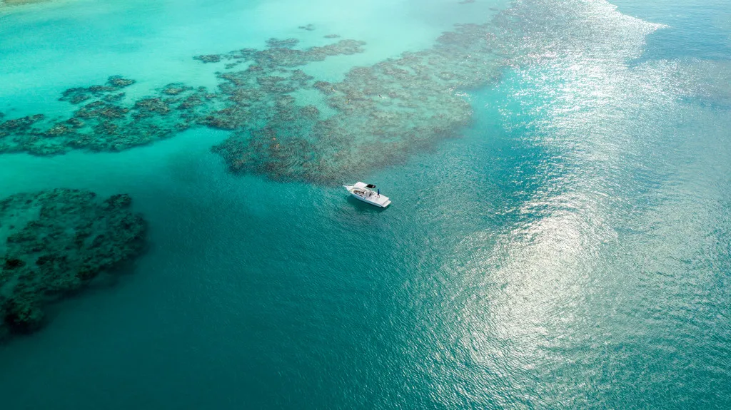 2-Stop Snorkel & Shipwreck Tour