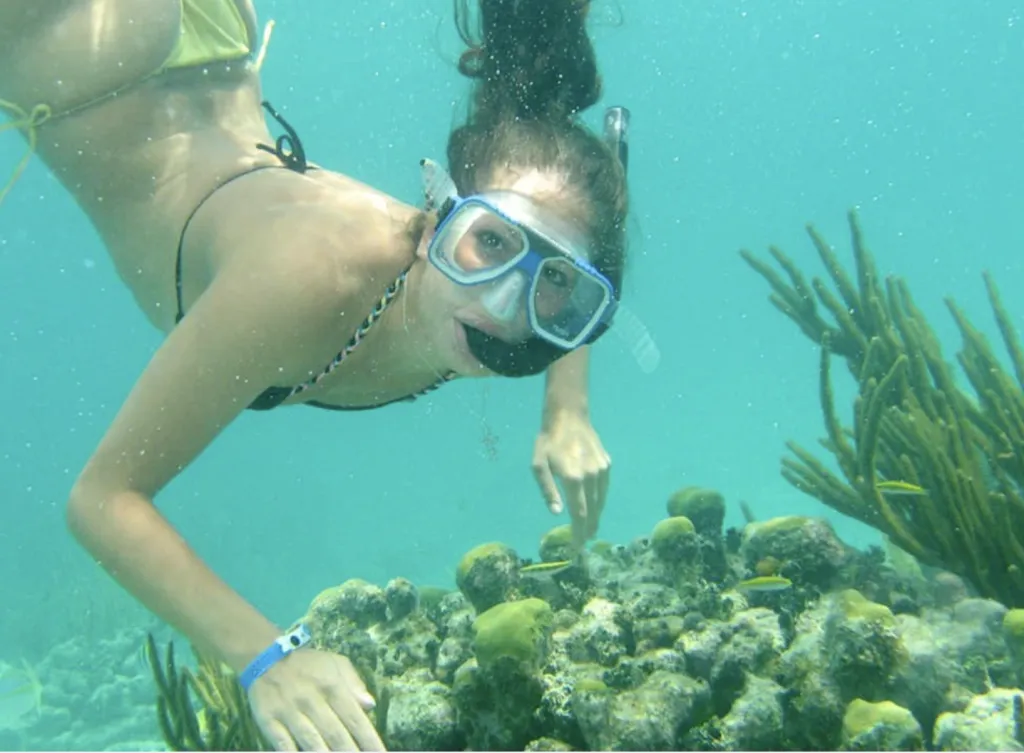 2-Stop Snorkel & Shipwreck Tour