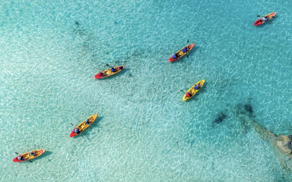 Kayak Eco Adventure Tour