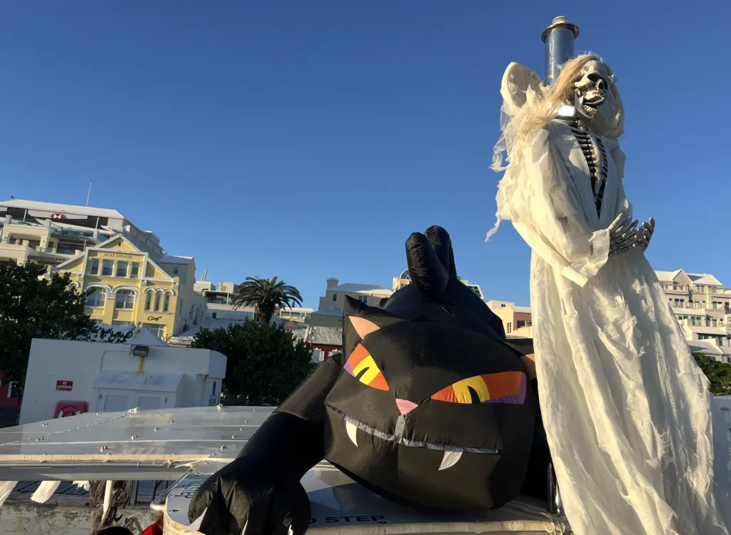 Halloween Mini Cruises On Board ÜberVida! Special Sunset Cruise