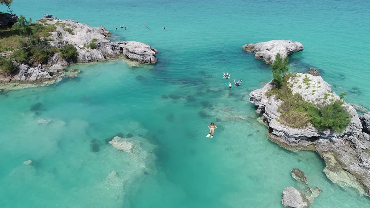 Glass Bottom & Snorkel