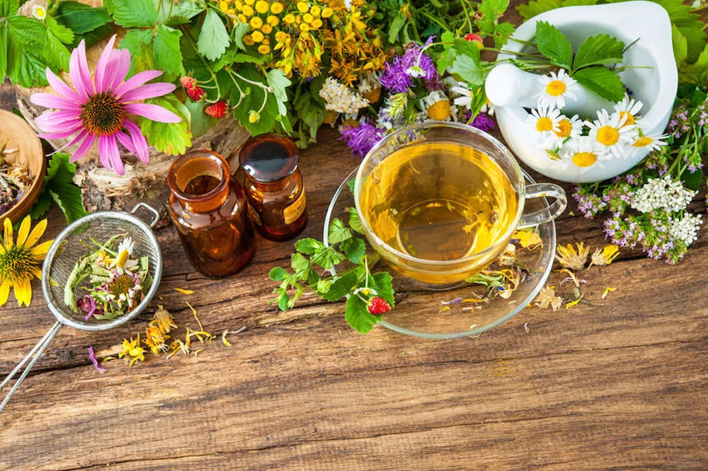 Wildcraft Herbal Remedies Experience