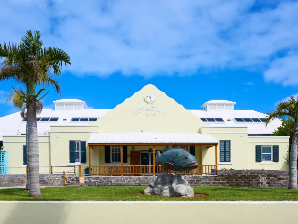 Bermuda Aquarium, Museum & Zoo
