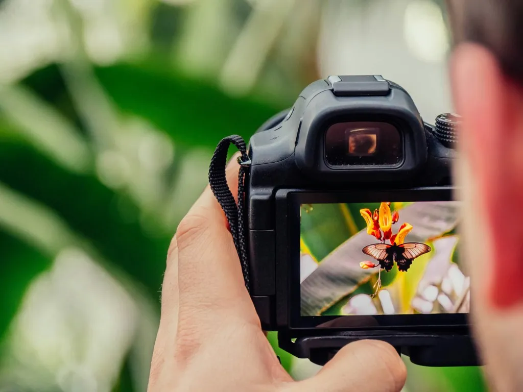 Slow Down & Notice | A Mindful Photography Walk, Share & Sip