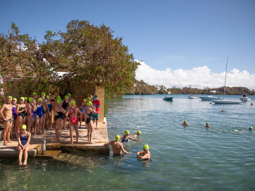 Bermuda Round The Sound Swim