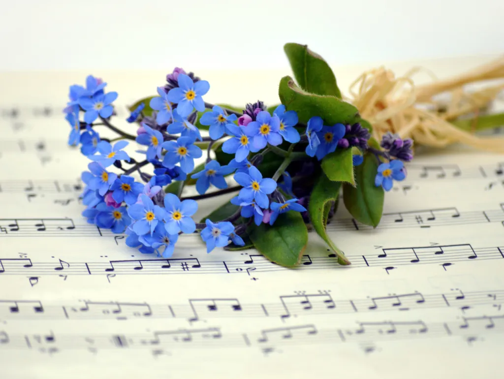 Bermuda School Of Music Spring Concert