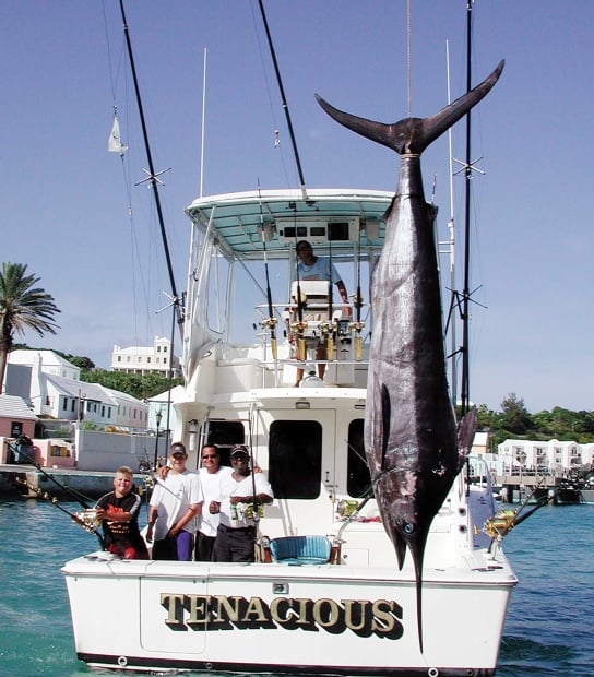 big fish being pulled up by boat