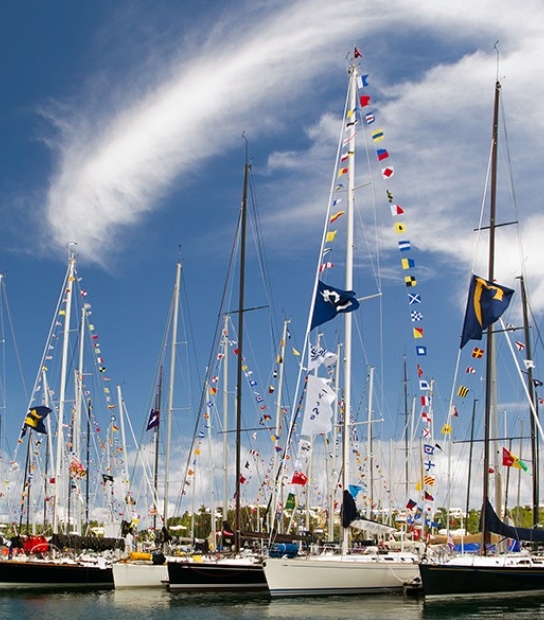 Newport sailboats docked