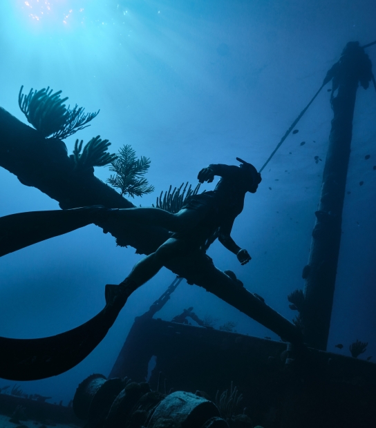 A person is diving underwater swimming next to an old shipwreck.