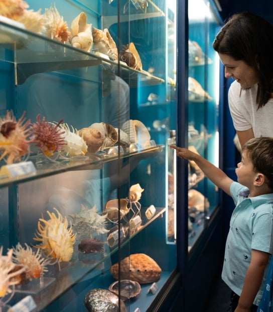A family is posing at BUEI shell room.