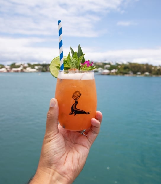A person is holding a swizzle against a ocean backdrop.