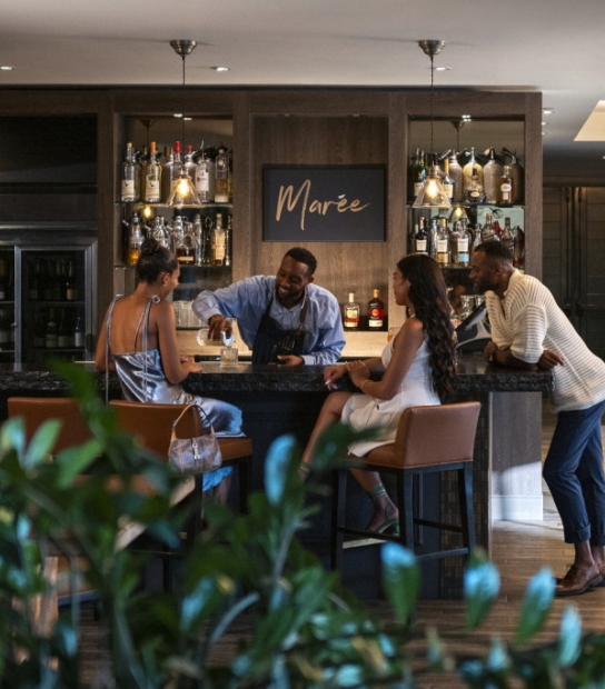 Jazz Nights At Marée Lounge