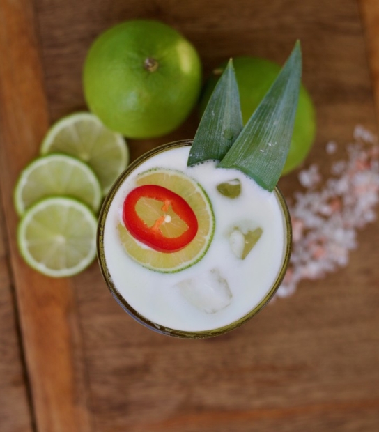 The Birdcage – Jalapeño Margarita