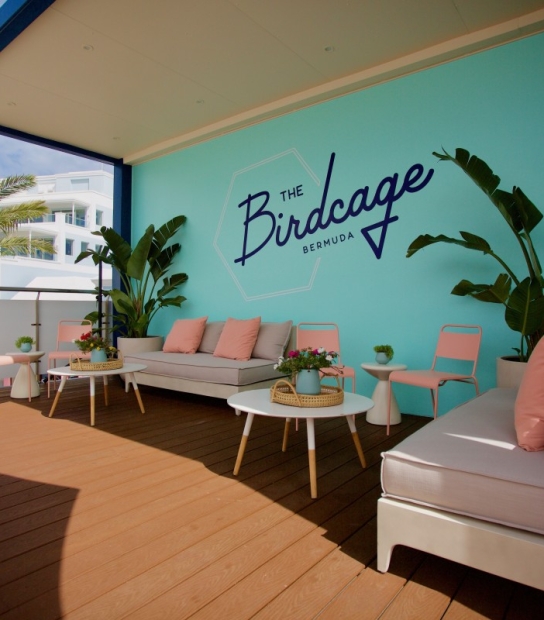 The Birdcage – The Birdcage Lounge