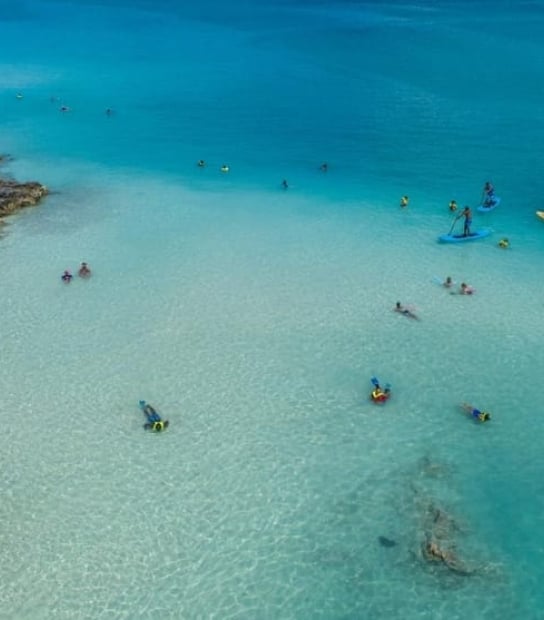 Sundeck Sightseeing And Snorkel Experience