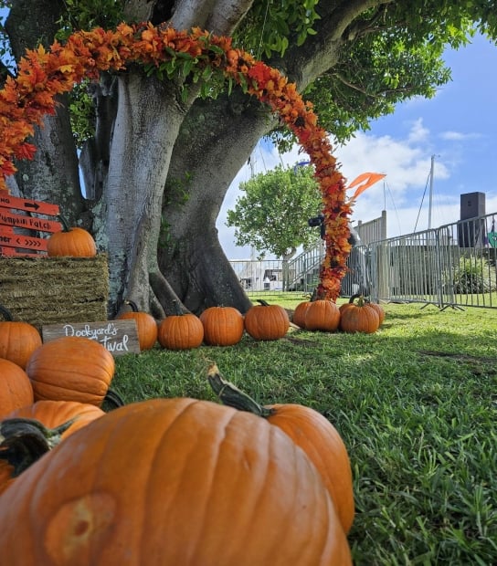 Dockyard's Fall Festival