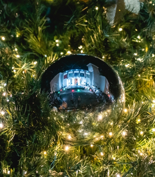 Rockin' Around The City Tree