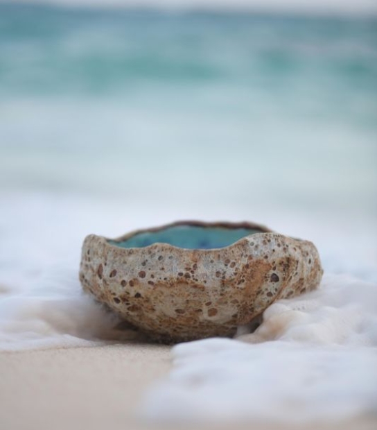 Jon Faulkner Gallery – Bermuda Rockpool