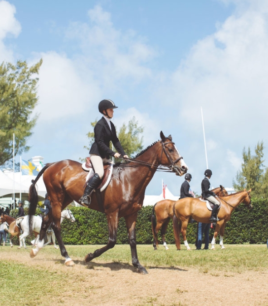 Bermuda Agricultural Exhibition