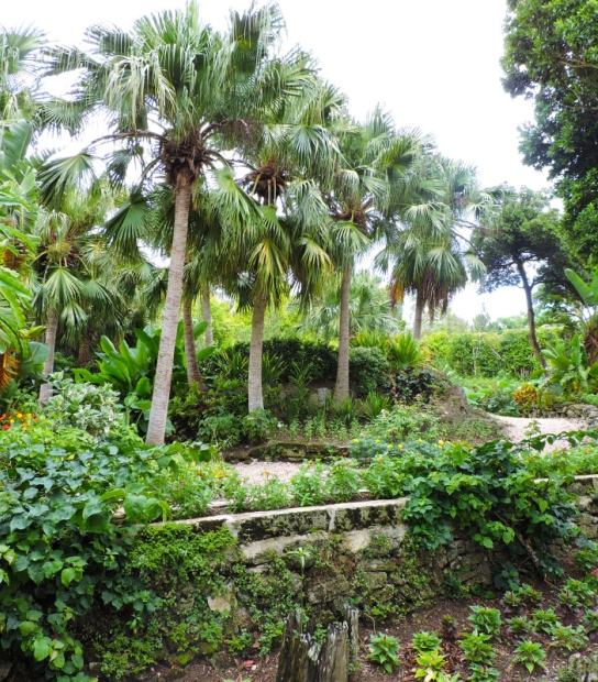 The Arboretum – THE ARBORETUM