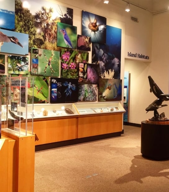Bermuda Aquarium, Museum & Zoo (BAMZ) – Interior