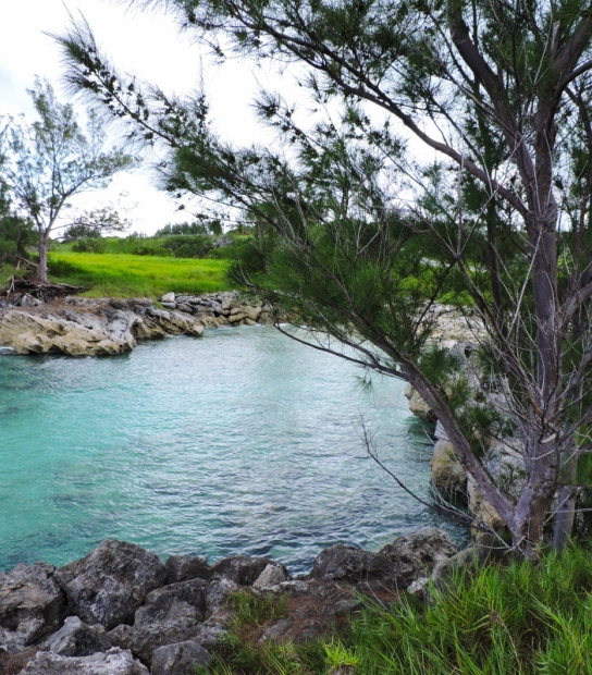 Cooper's Island Nature Reserve – Coopers