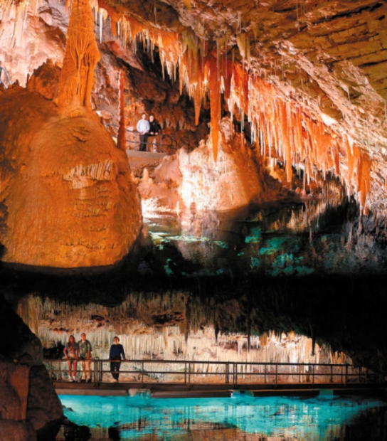 Bermuda Island Tours & More – Transport