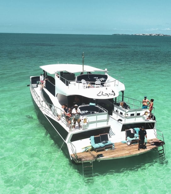 Double Dip Ultimate Swimming Cruise