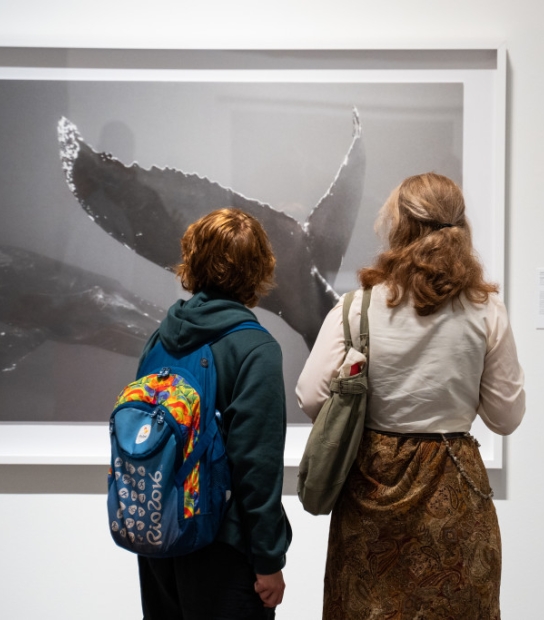 The Ocean They Inhabit Exhibit | Bermuda National Gallery