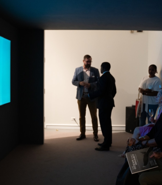 The Ocean They Inhabit Exhibit | Bermuda National Gallery