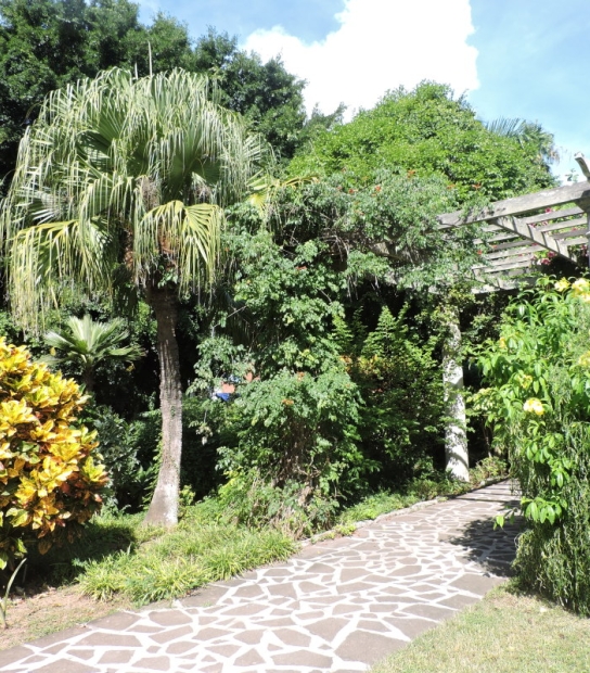 Queen Elizabeth Park – Park