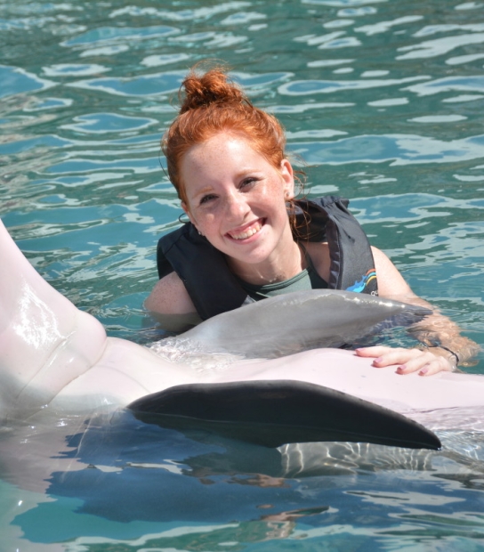 Dolphin Quest Bermuda – We Offer Interactions In Deep Water, Shallow Water, And Dockside