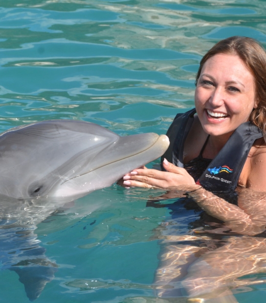 Dolphin Quest Bermuda – Dolphin Quest Bermuda