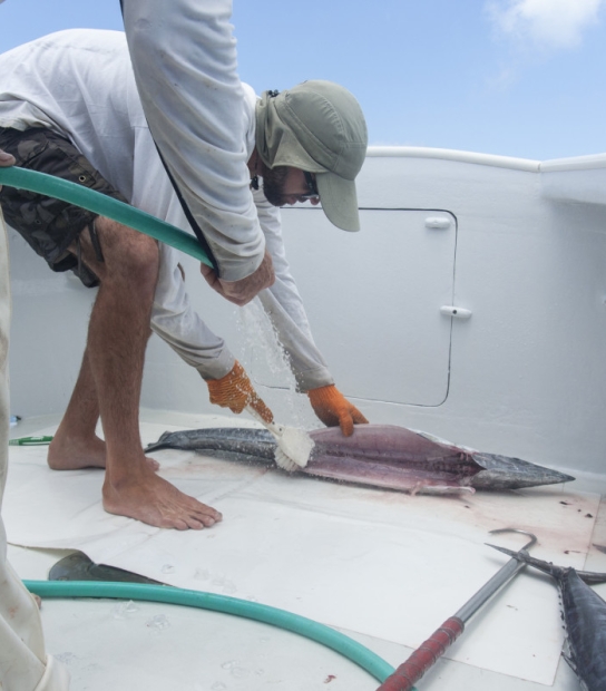 Early Bird Charters – EBC1