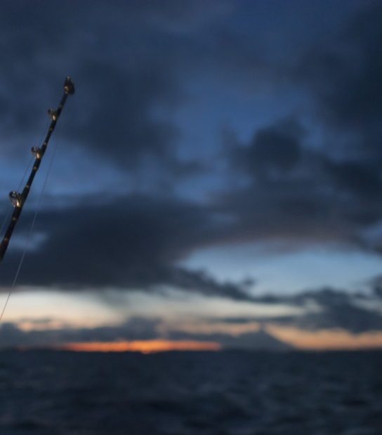Early Bird Charters – EBC4