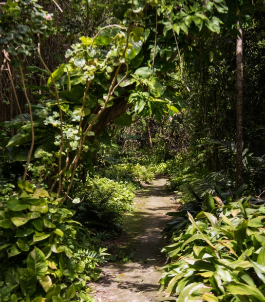 Sunday Walks With The Walking Club Of Bermuda