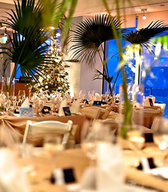Newstead Belmont Hills Golf Resort & Spa – Newstead