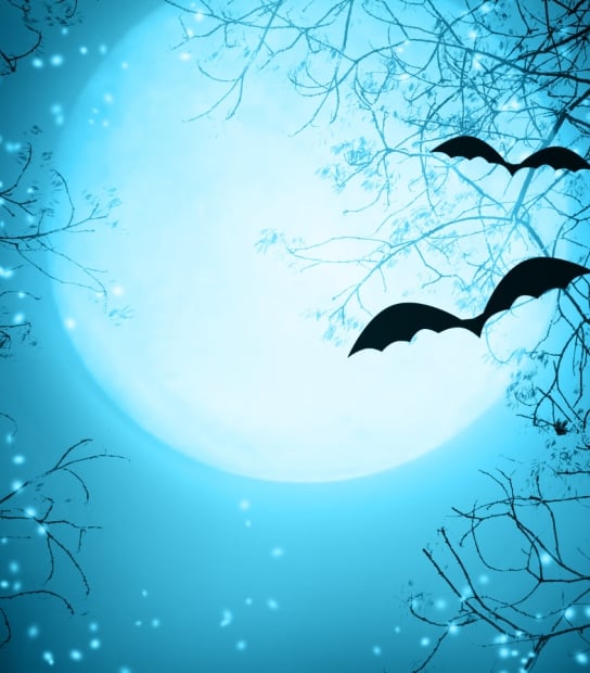 Haunted Tales Of The West End