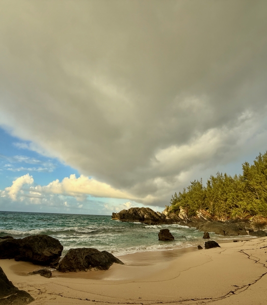 Day 6 Of The Bermuda Plein Air Festival . South Shore