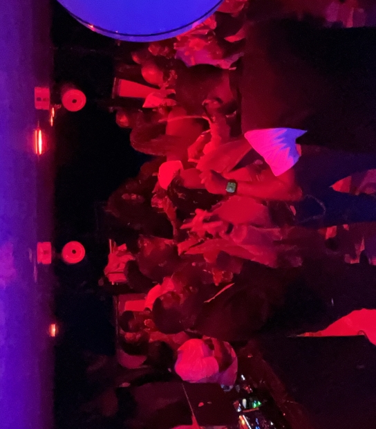 Singles Party In Bermuda On Board Uber Vida