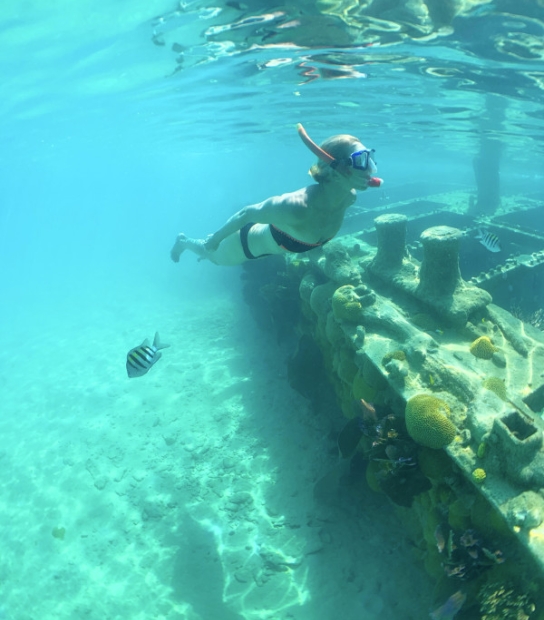 Sail Bermuda – Snorkeling