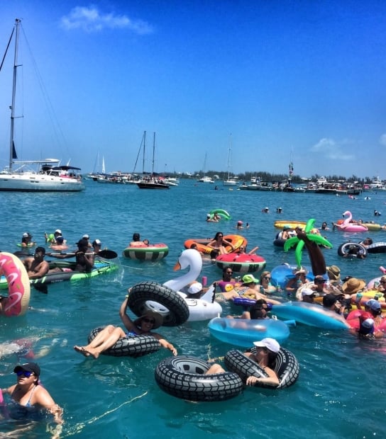 Double Dip Ultimate Swimming Cruise
