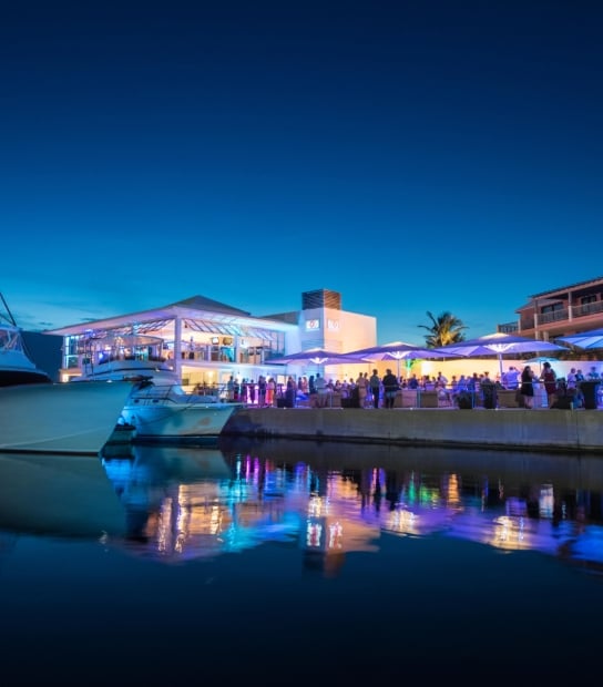 Marina Nights At Hamilton Princess